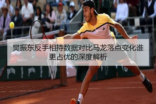 樊振东反手相持数据对比马龙落点变化谁更占优的深度解析